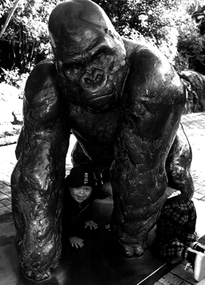 �M�������[1