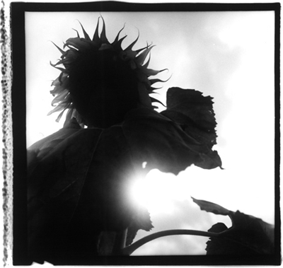 �M�������[6