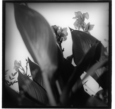 �M�������[7