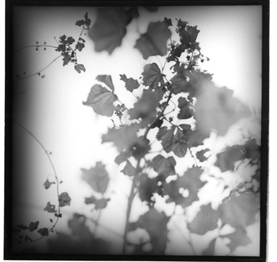 �M�������[8